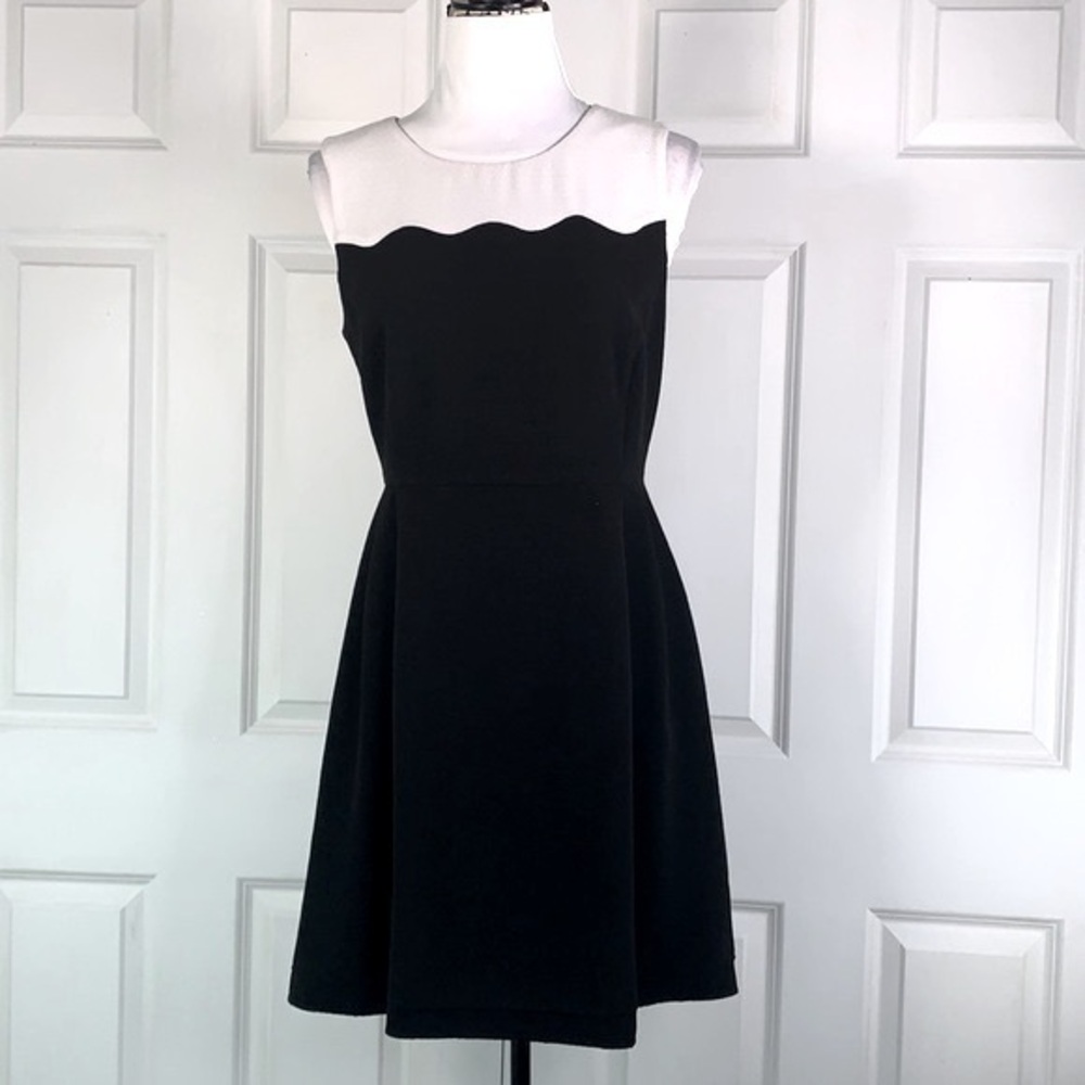 Esley Colorblock Fit and Flare Dress
